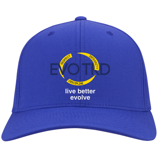 Evo Embroidered Flex Fit Twill Baseball Cap